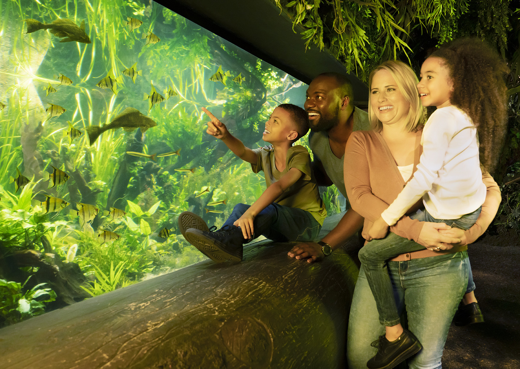 Merlin's London Attraction Pass - SEA LIFE Aquarium