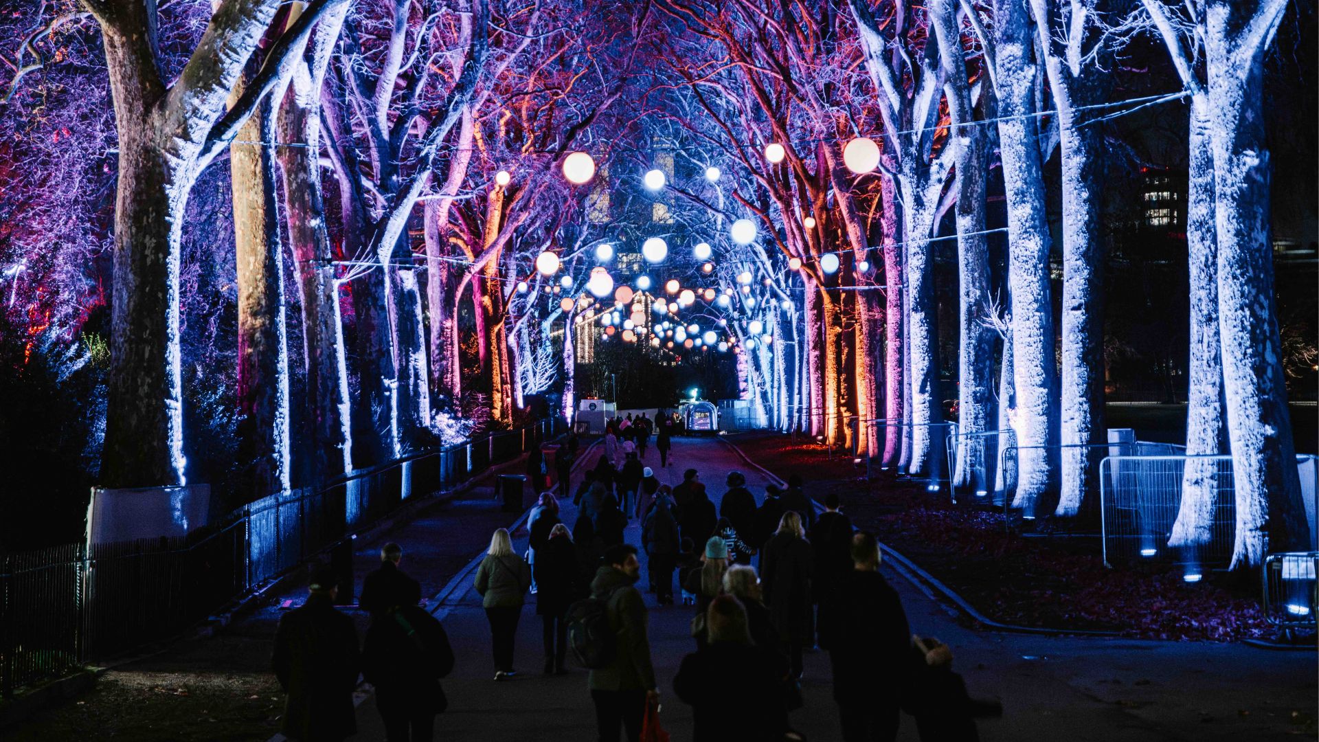 Chelsea Winter Illuminations