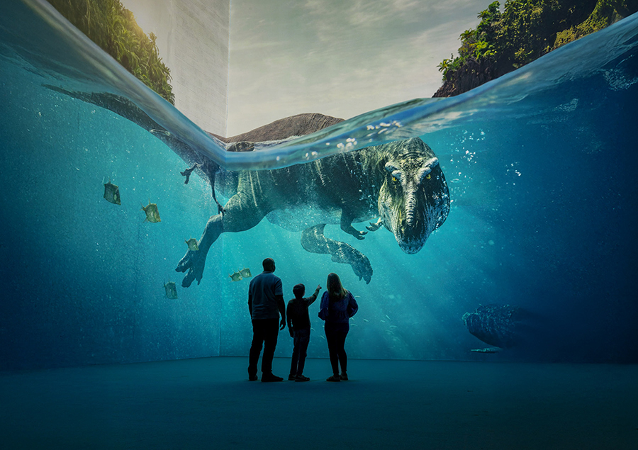 Immersive Experiences