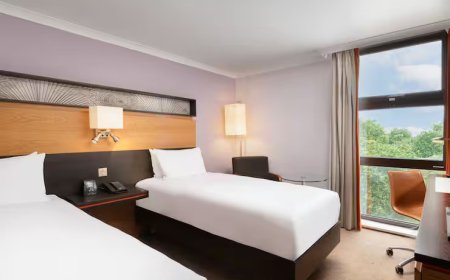Twin Guest  Room