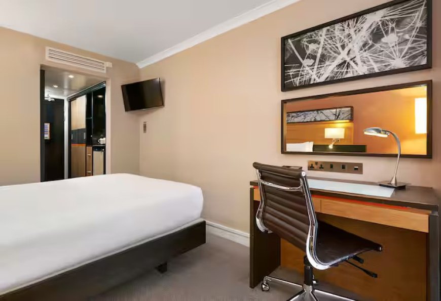 Single Guest Room