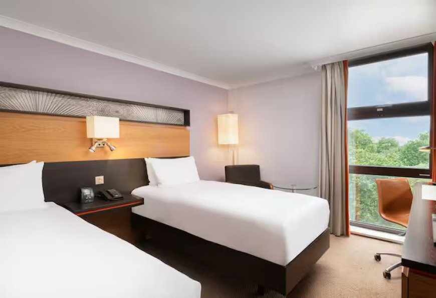 Twin Guest  Room