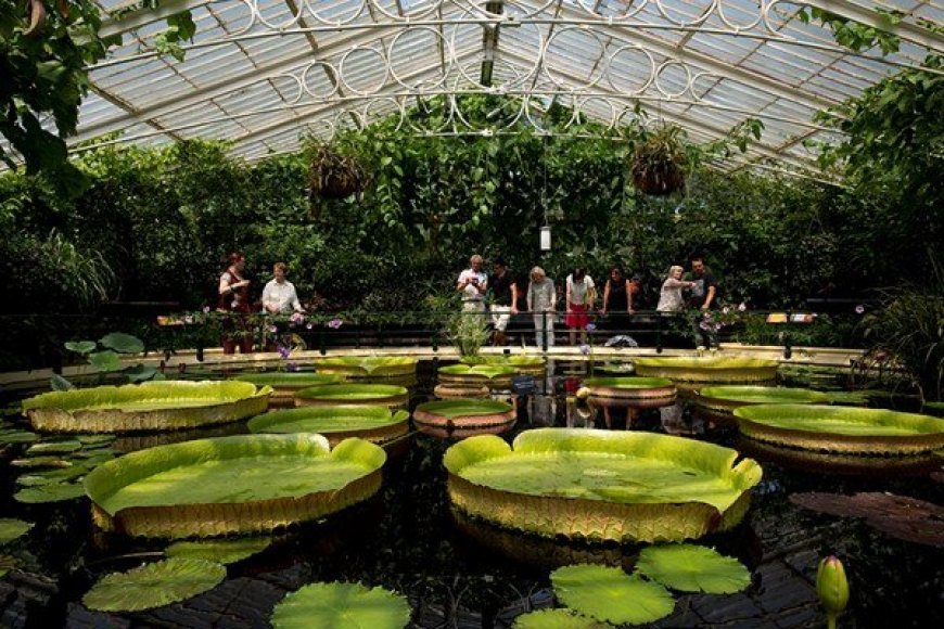 Kew Gardens