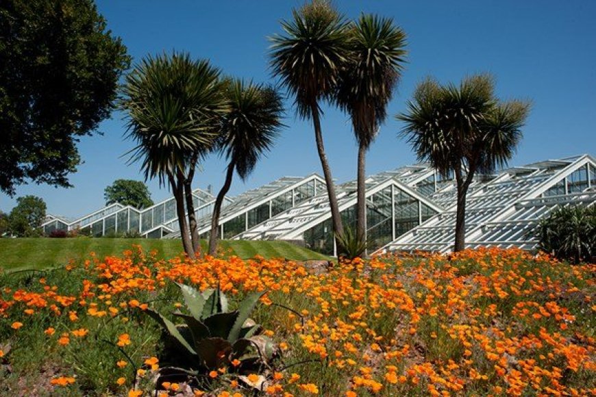 Kew Gardens
