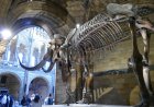 3-day family-friendly London trip itinerary