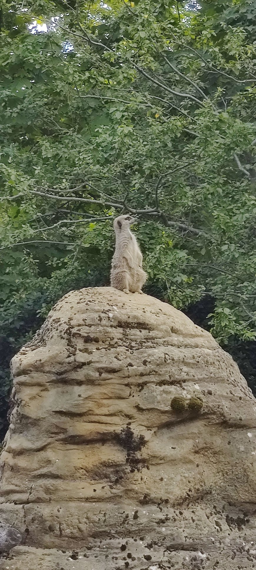 London Zoo