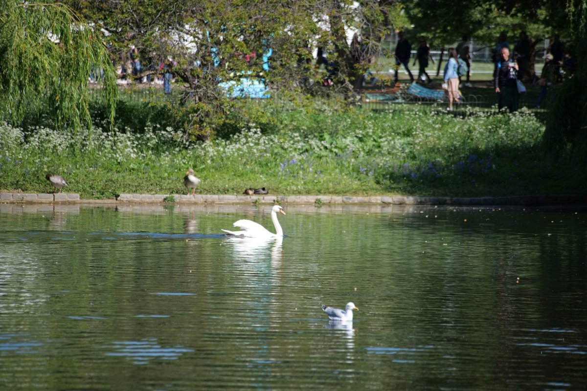 St James's Park