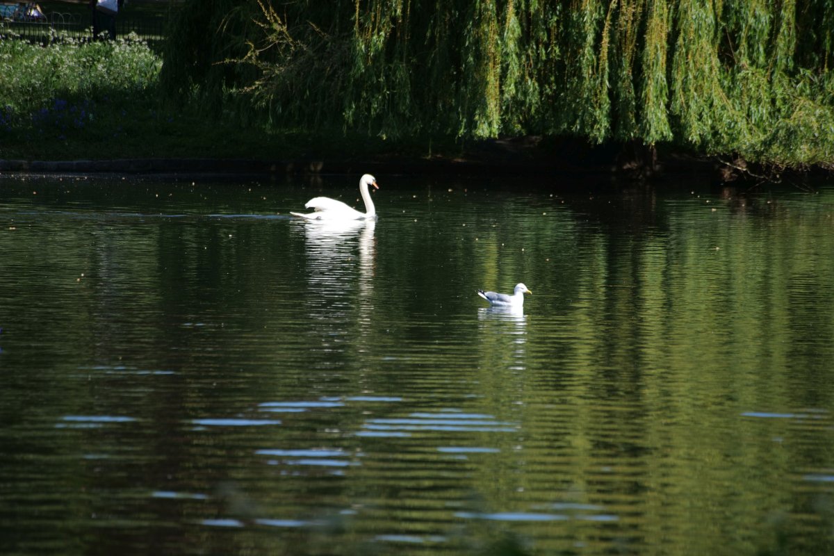St James's Park
