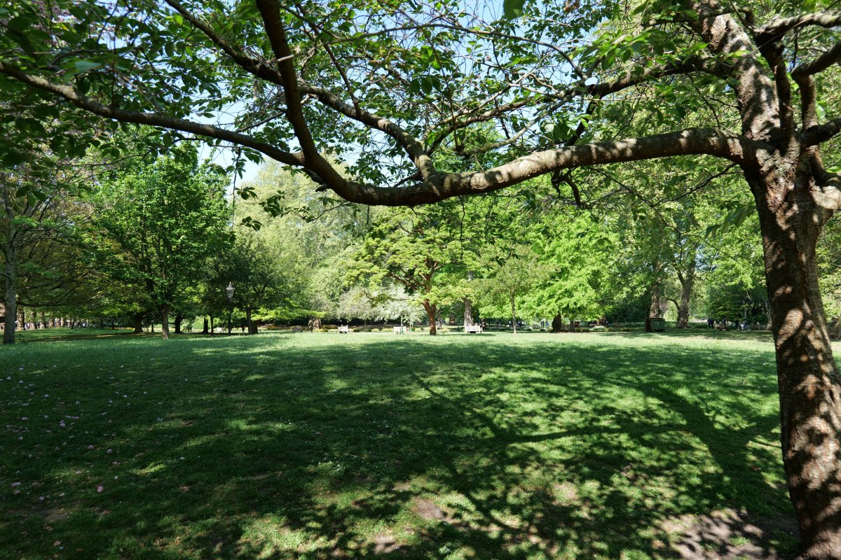 St James's Park