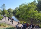 Take a stroll in St. James's Park