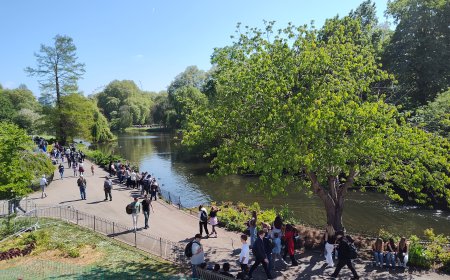 Take a stroll in St. James's Park