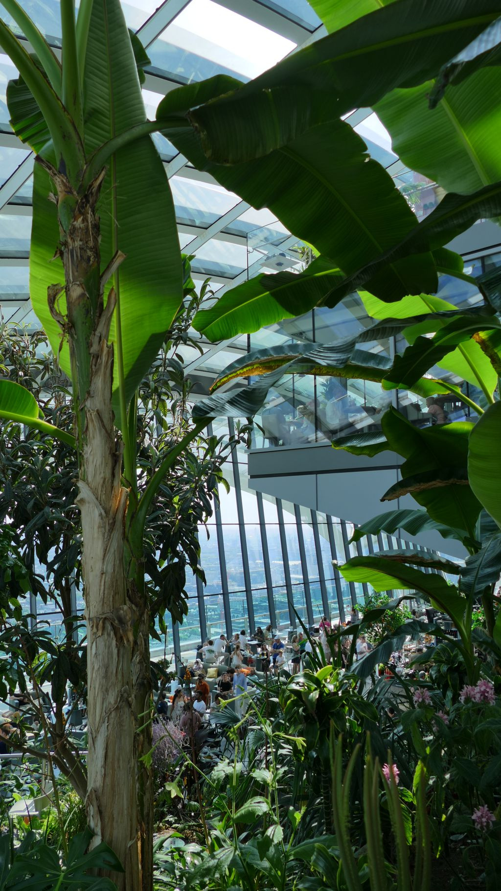 Sky Garden 