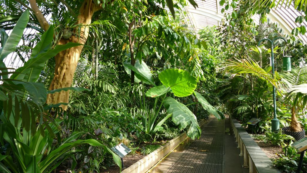 Kew Gardens