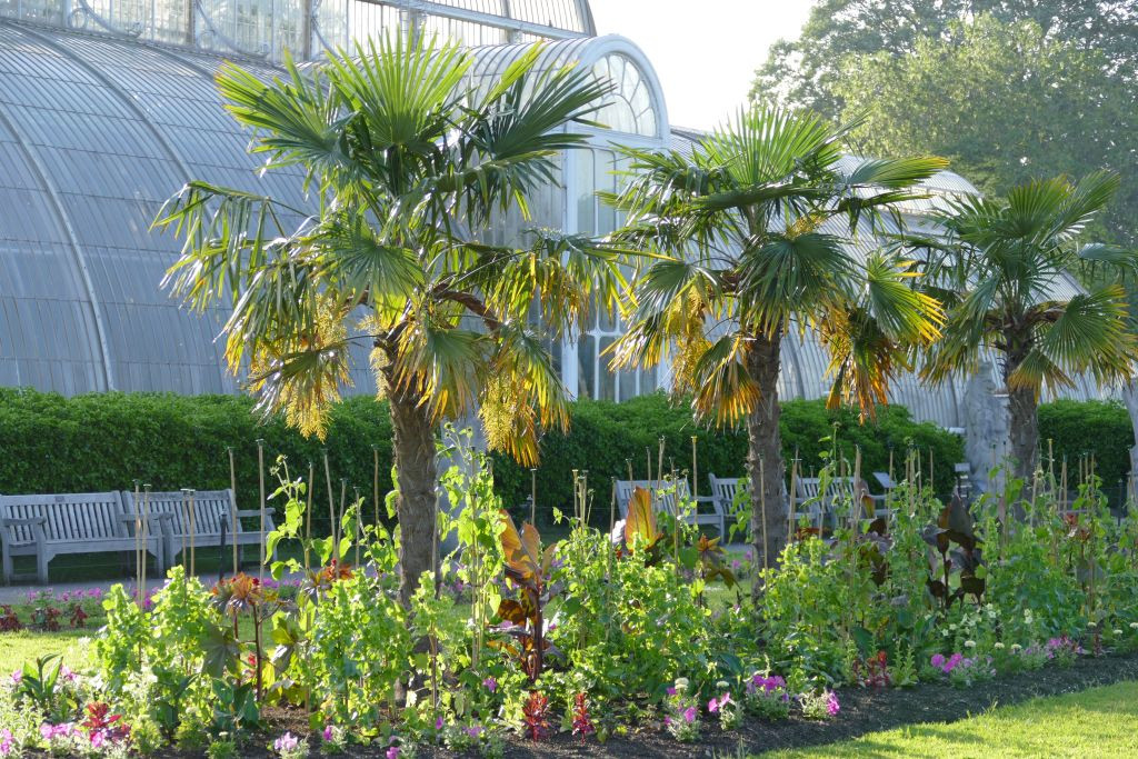 Kew Gardens