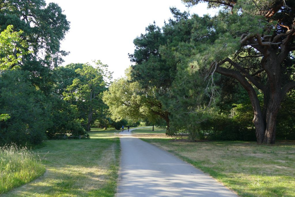 Kew Gardens